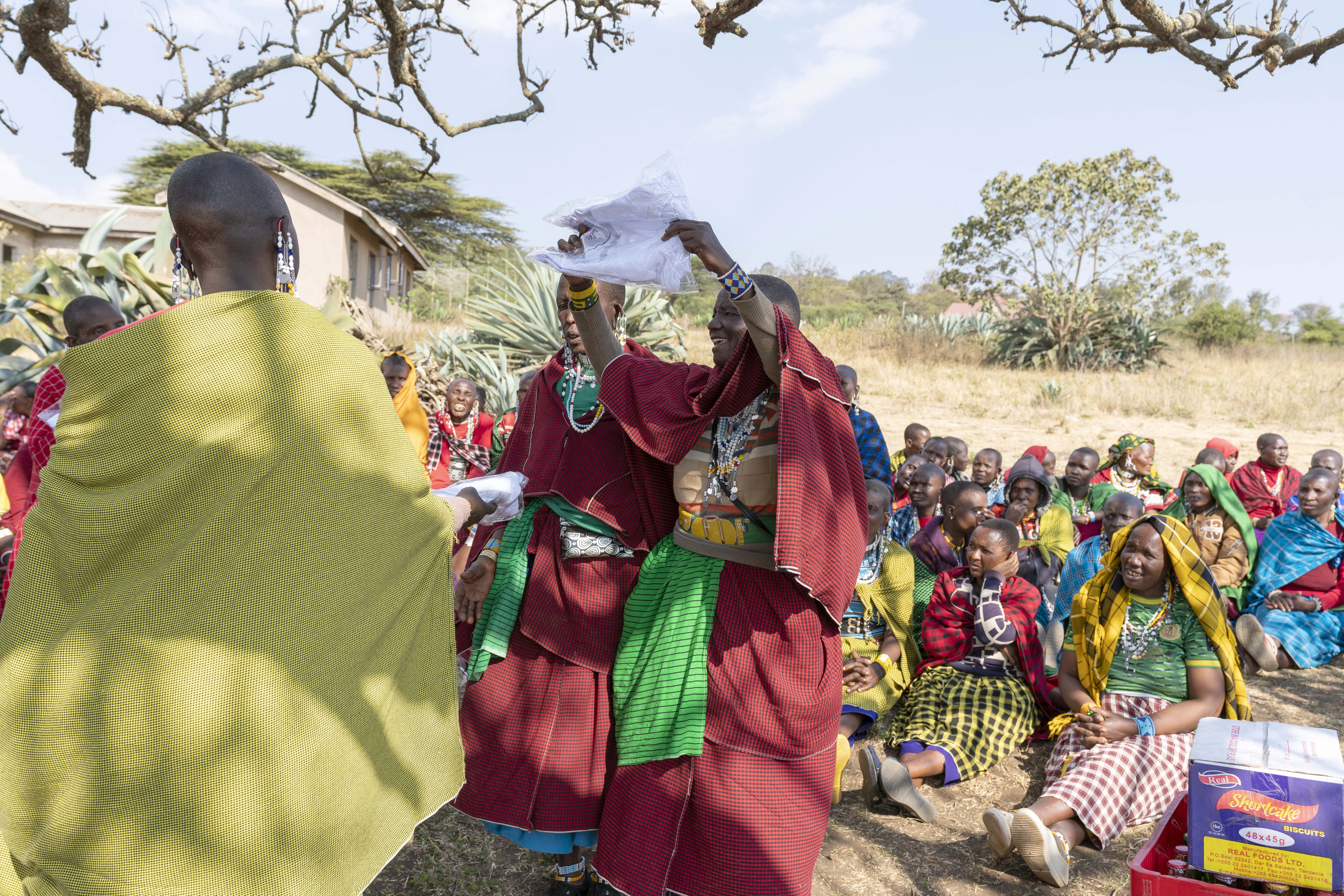 PWDT gallery photo 21