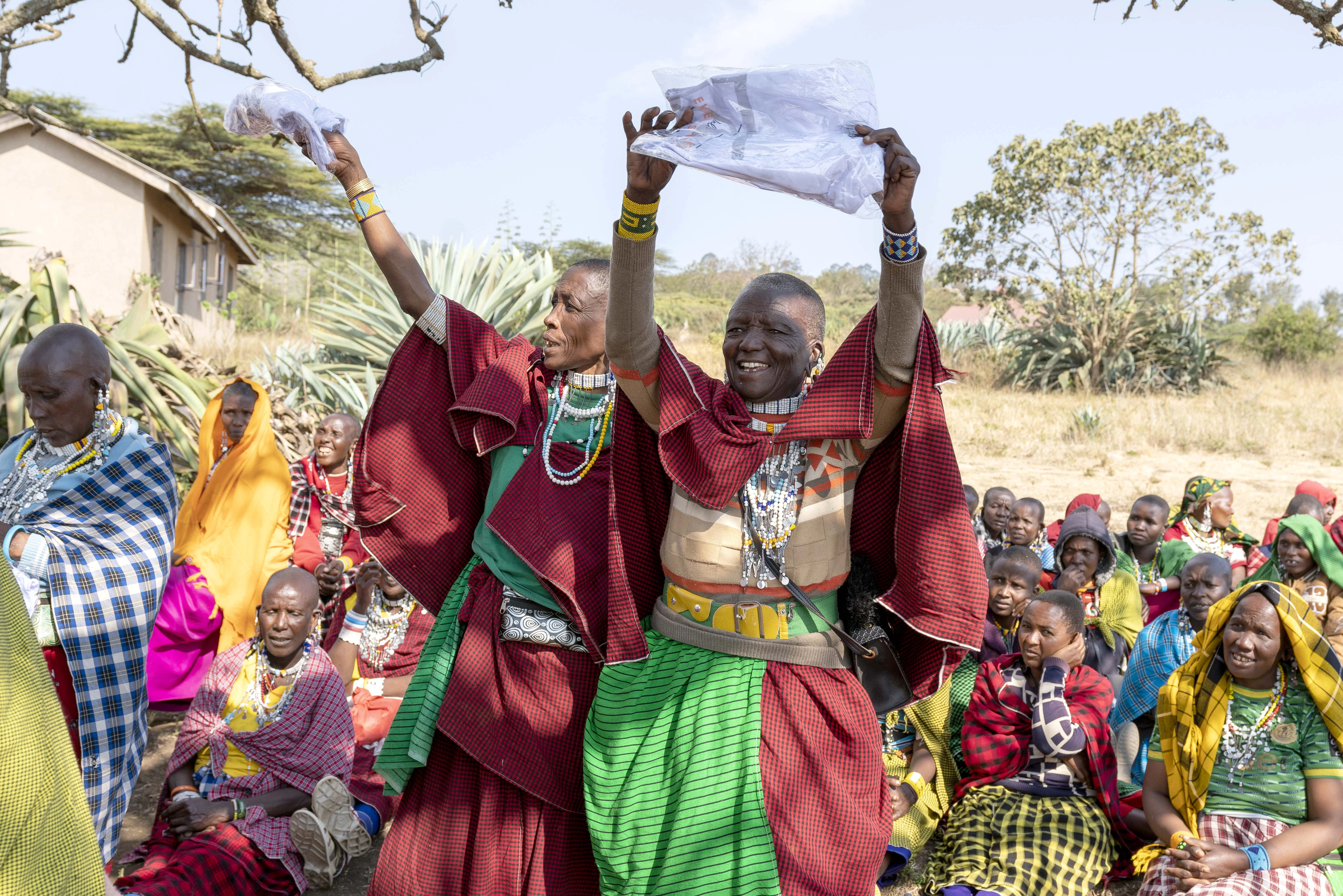 PWDT gallery photo 16