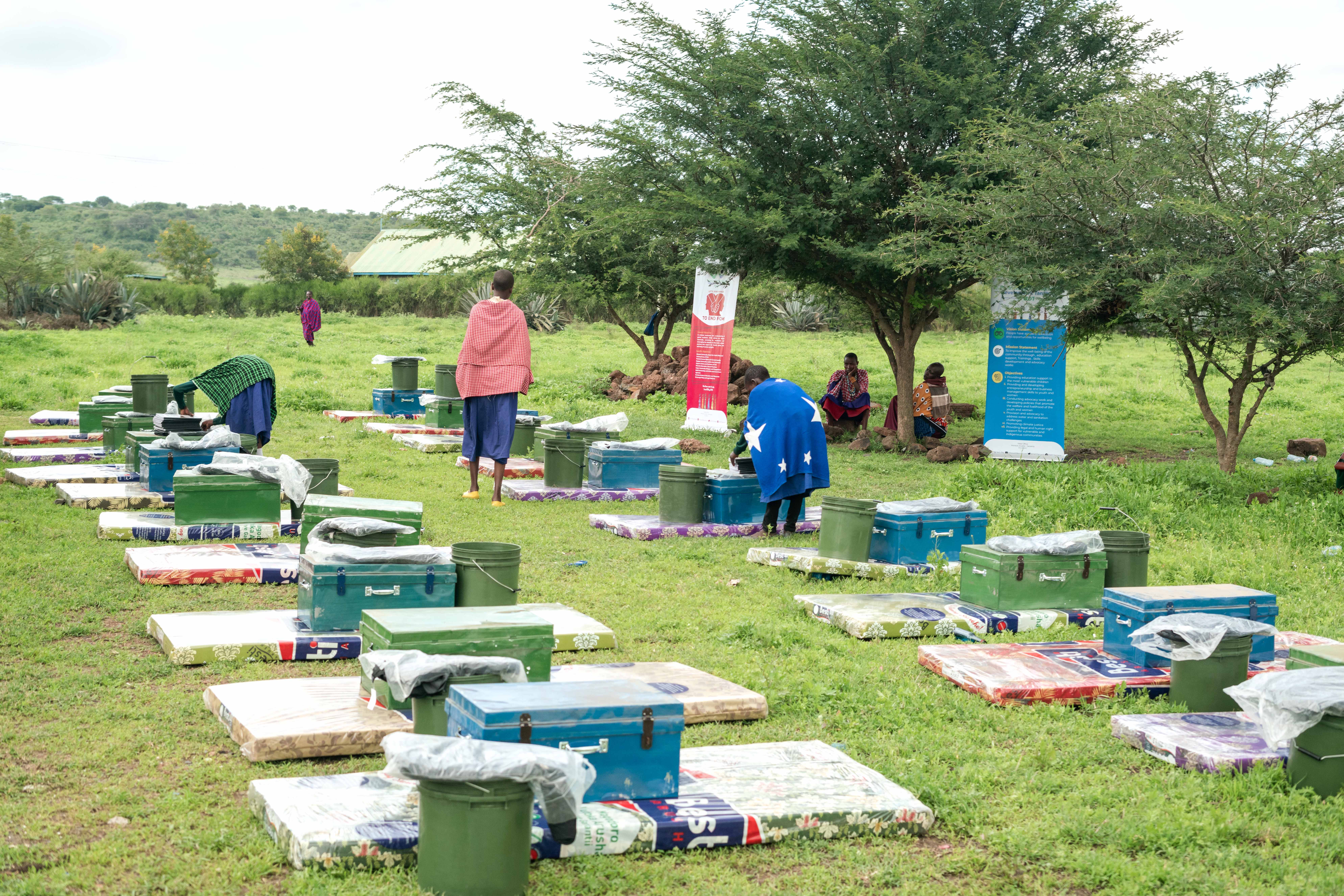 PWDT gallery photo 9