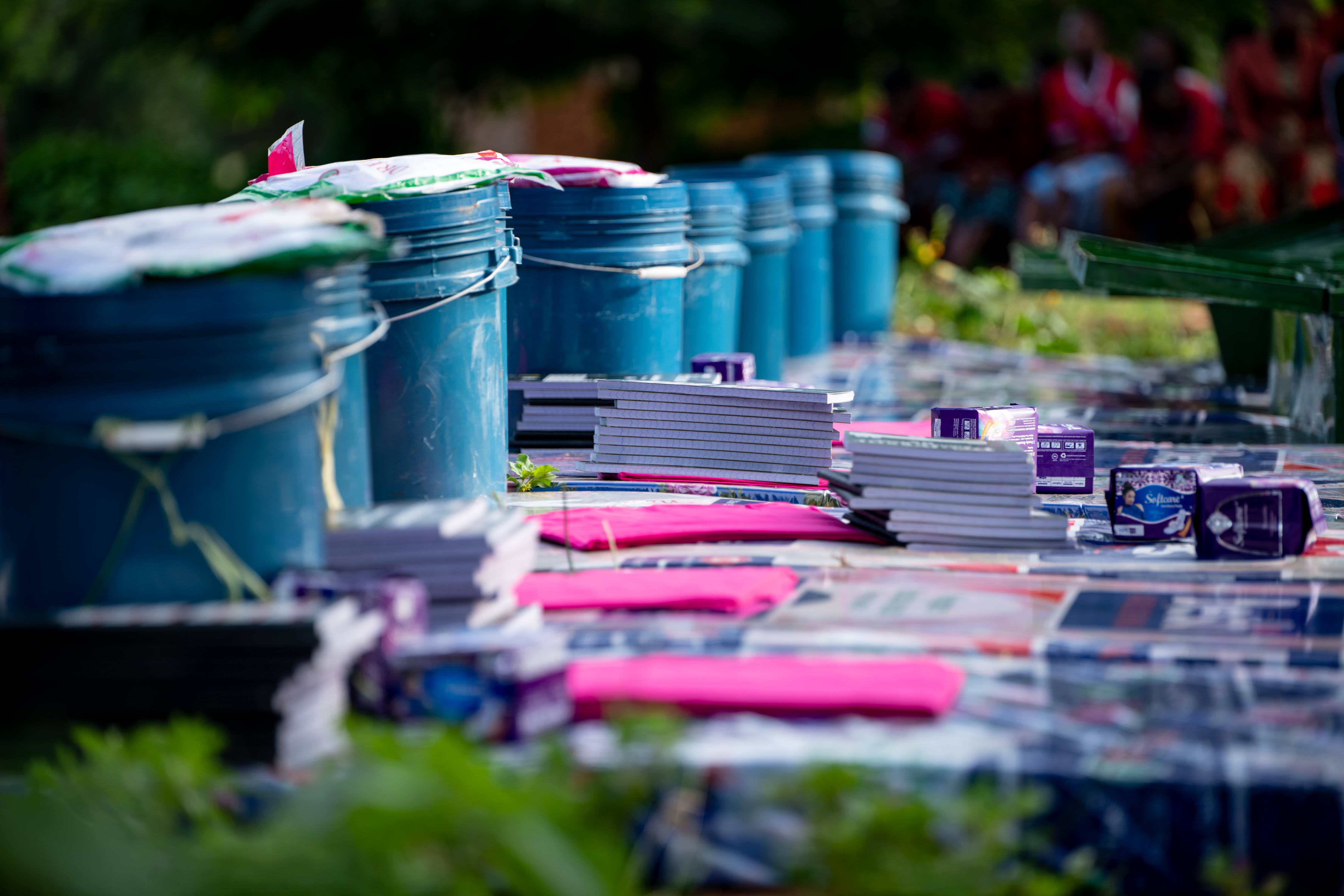 PWDT gallery photo 11