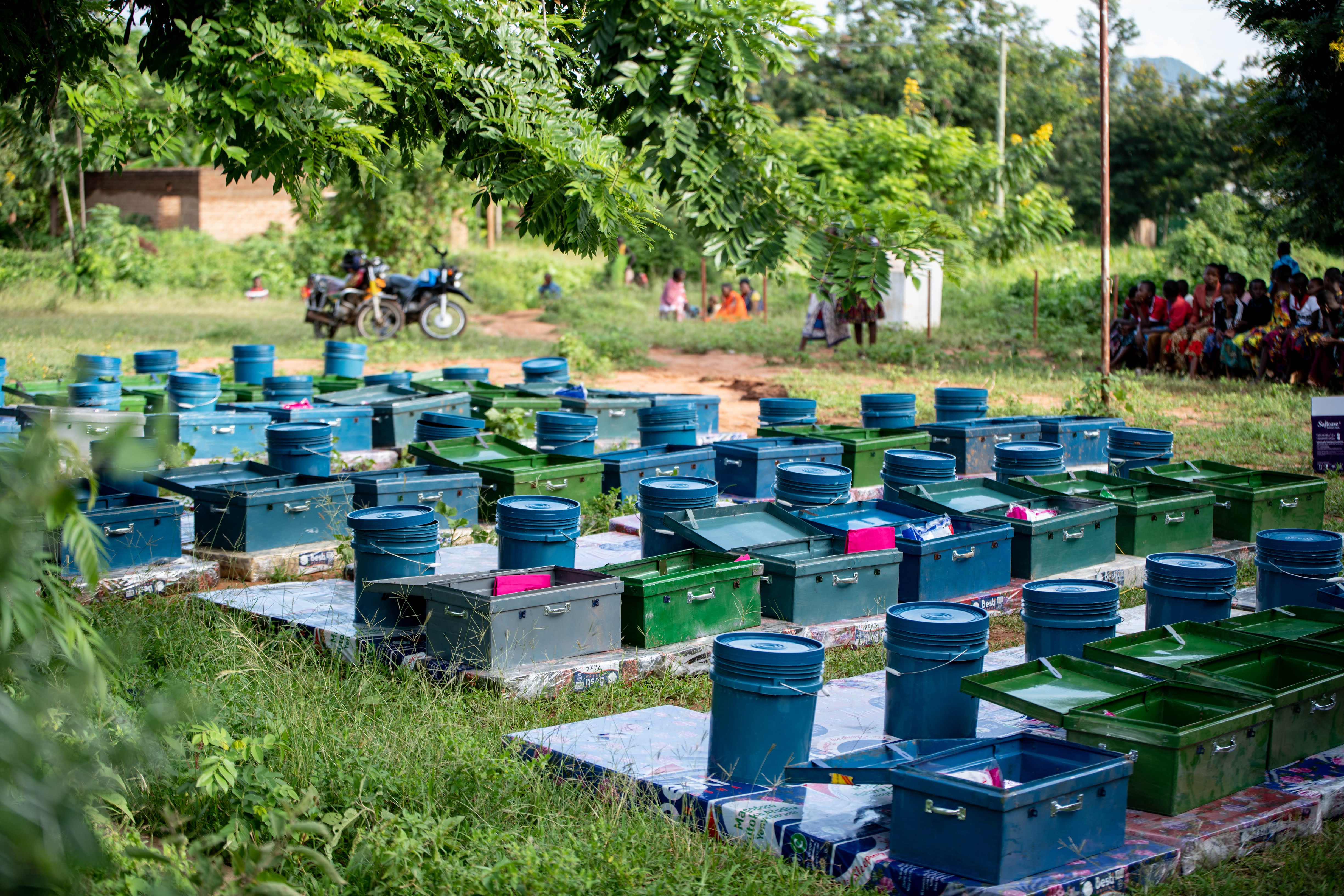 PWDT gallery photo 7