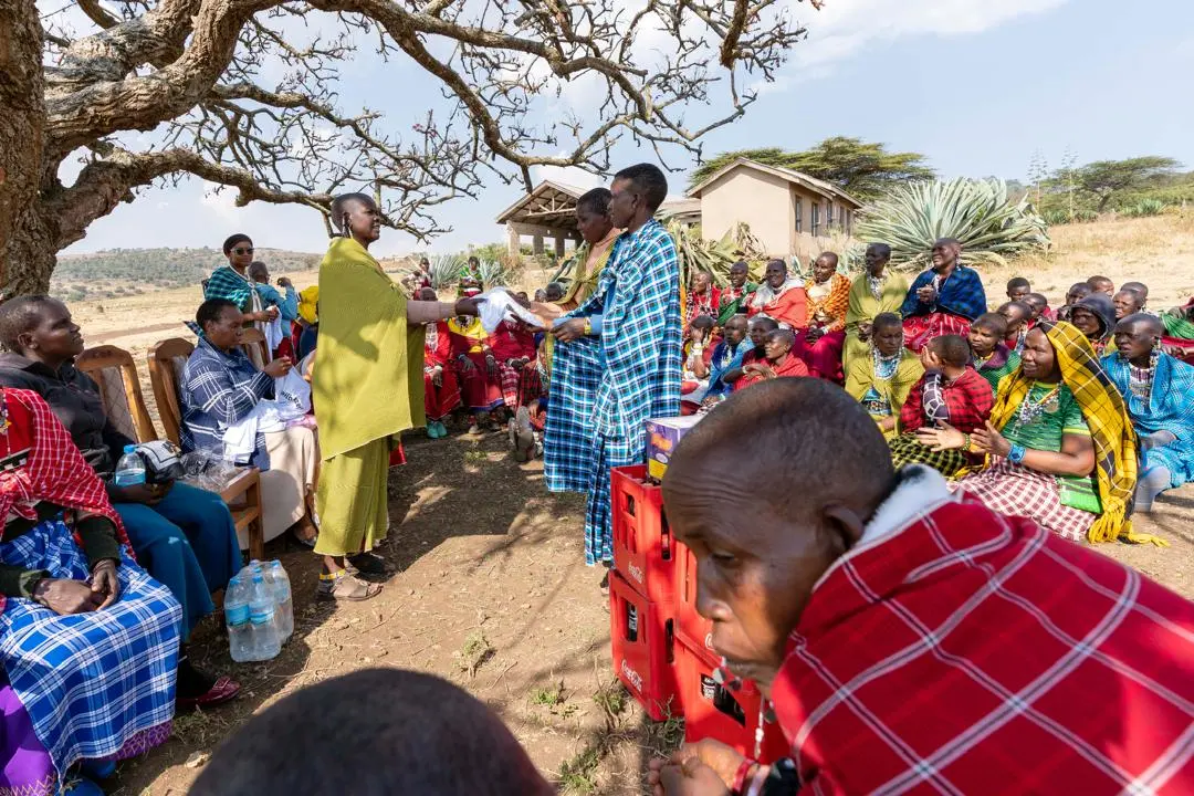 PWDT gallery photo 19